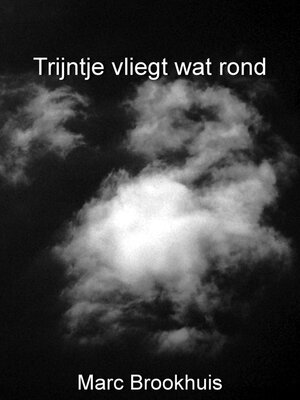 cover image of Trijntje vliegt wat rond